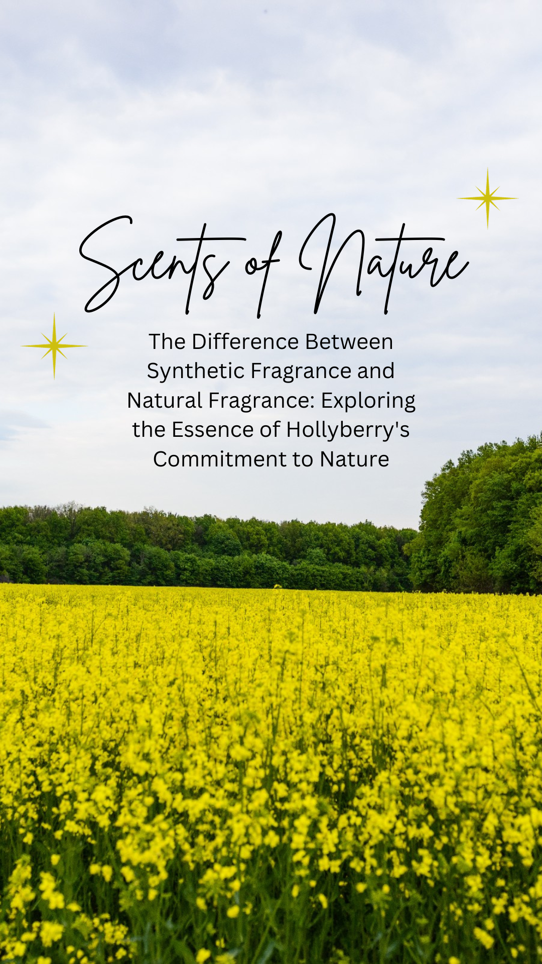 The Difference Between Synthetic Fragrance and Natural Fragrance: Exploring the Essence of Hollyberry's Commitment to Nature