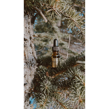Forest Walk - Cedarwood, Pine & Sandalwood Diffuser Oil Blend