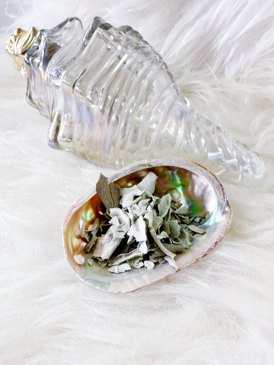 White Sage with Abalone Shell