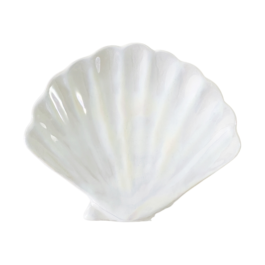 Iridescent Shell Trinket Dish